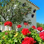 Villa Montebello Malaga