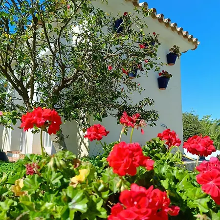 Villa Montebello Malaga